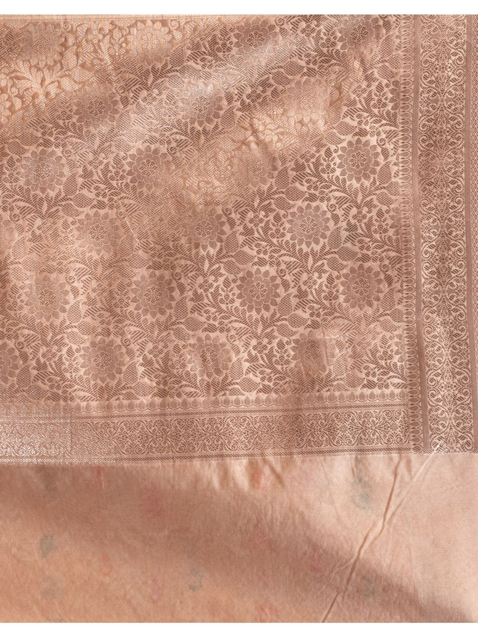 Georgette Banarasi Saree All Over Jaal With Meenakari Beige - THE WEAVER