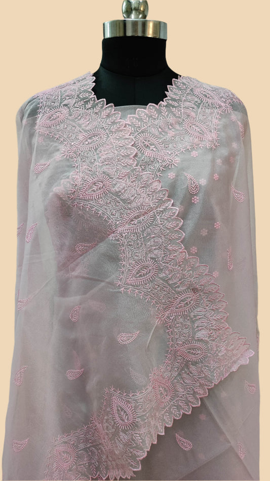 The Weaver's Organza Chikankari Saree - Pastel Pink - The Weaver Banaras
