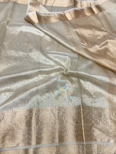Malaika Arora Inspired Organza Tissue Saree - The Weaver Banaras