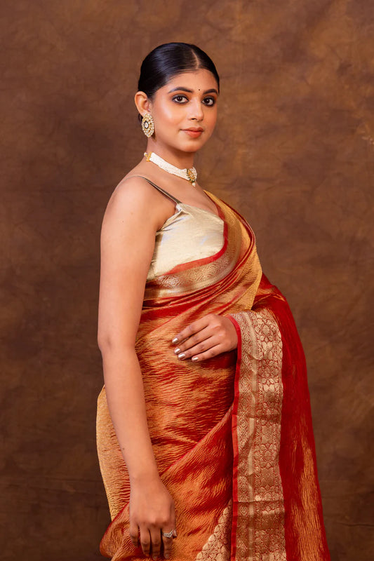 Rani Red Crush Tissue Silk Saree | Banarasi Woven Saree